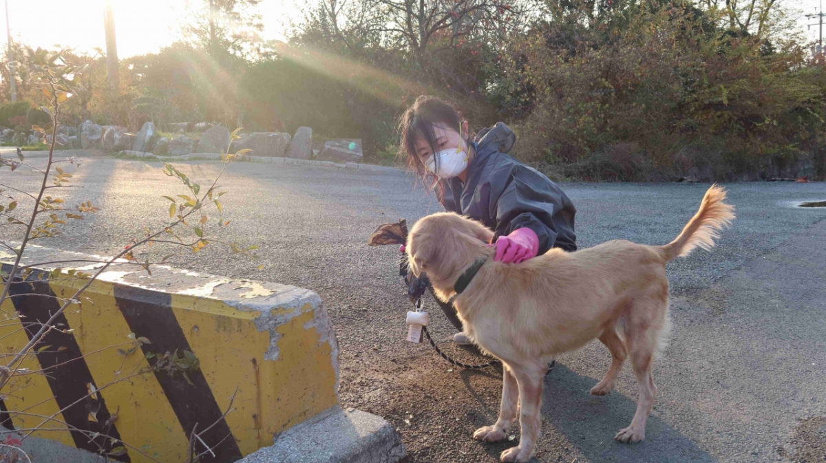 렛츠런파크 부산경남 직원이 유기견 산책 및 놀이활동을 하고 있다./사진제공=렛츠런파크 부산경남