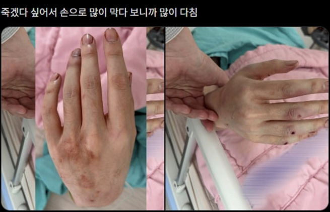 /사진=수탉 SOOP 방송국 갈무리