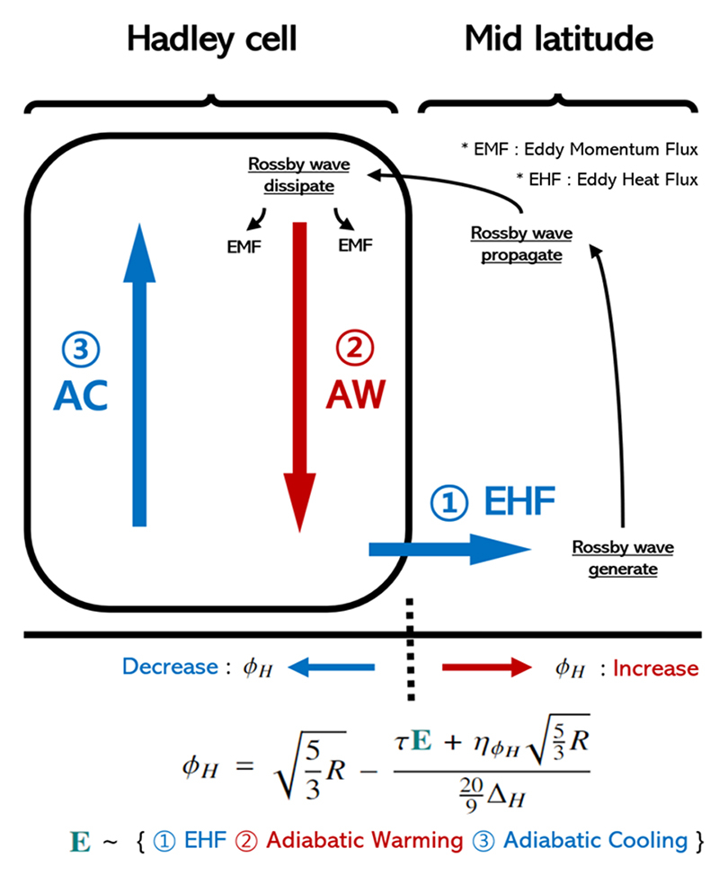 중위도 폭풍이 해들리 순환에 미치는 열적 효과를 나타낸 개략도./사진제공=부경대