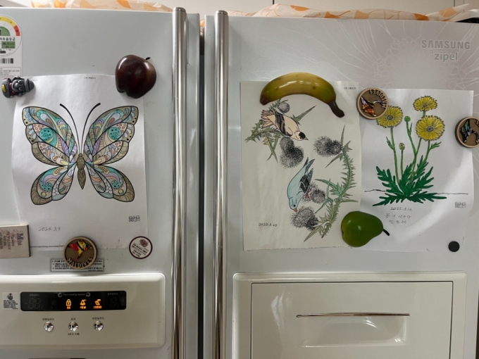2일 오전 서울 은평구 한 아파트 냉장고 모습. 김 보호사는 김씨가 색칠한 그림들을 냉장고에 자석으로 붙여두었다./사진=이정우 기자.
