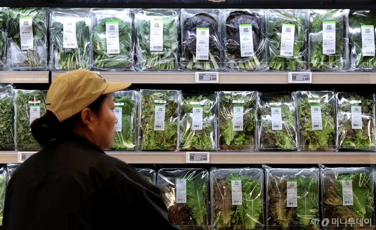 한국은행이 발표한 9 생산자물가지수가 전월 대비 0.4% 오르며 한 달 만에 상승세로 전환됐다. 농림수산품은 전월 대비 0.4% 오르며 품목별로 상추 38.9%, 쌀 4.7%, 쇠고기 6.9%, 돼지고기 3.3%가 올랐다. 사진은 22일 서울 시내 한 마트에 상추가 진열돼 있다. 2025.10.22/사진=뉴스1  Copyright © 뉴스1. All rights reserved. 무단 전재 및 재배포,  AI학습 이용 금지. 