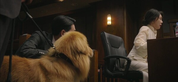 '프로보노' 방송화면 / 사진=tvN