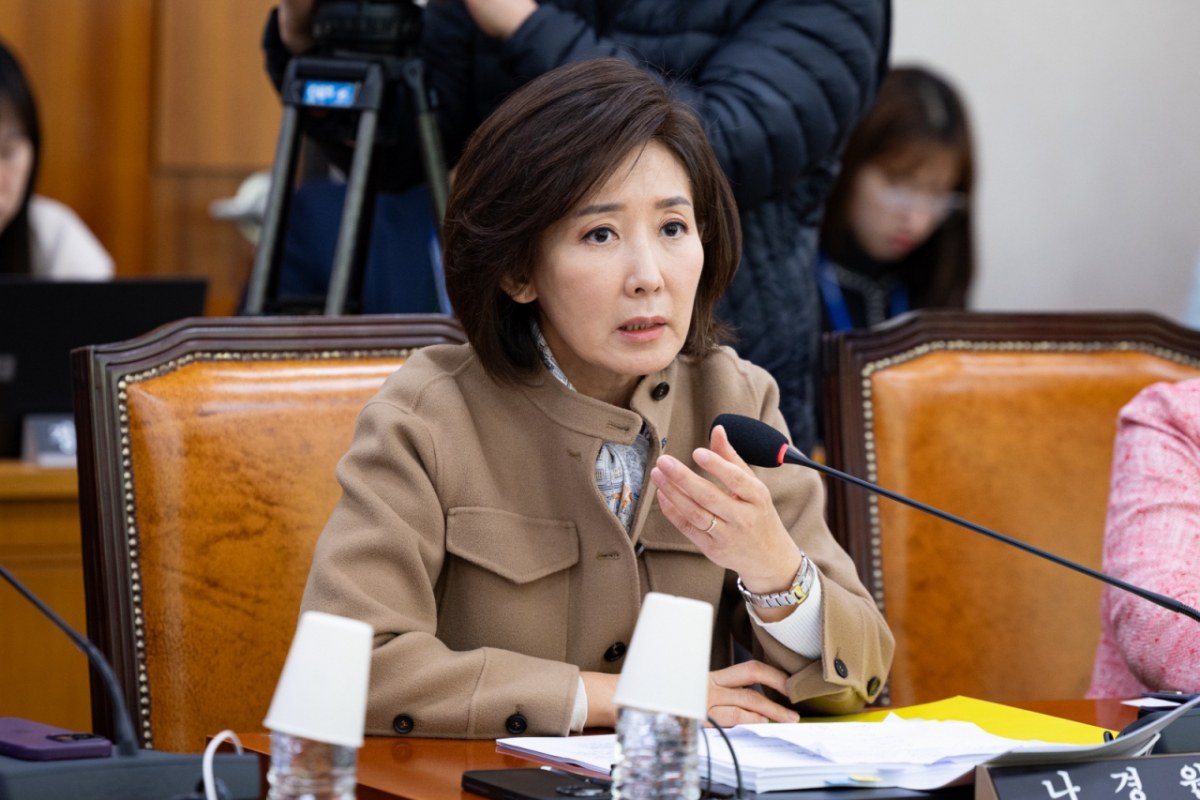 지난 1일 나경원 국민의힘 의원이 서울 여의도 국회에서 열린 제429회 국회(정기회) 법제사법위원회 제8차 법안심사제1소위원회에서 발언하는 모습. /사진=뉴스1.