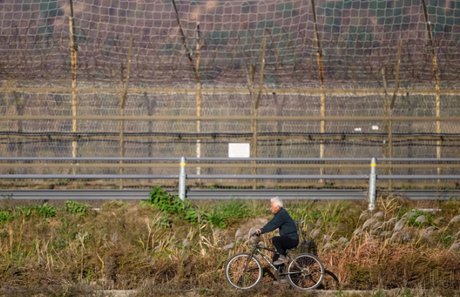 2024년 한 남성이 남북 국경에 설치된 철조망 근처에서 자건거를 타고 있다. /AFPBBNews=뉴스1