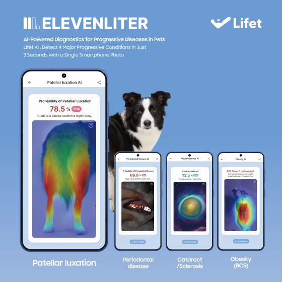 라이펫 앱 소개 자료/자료=십일리터 