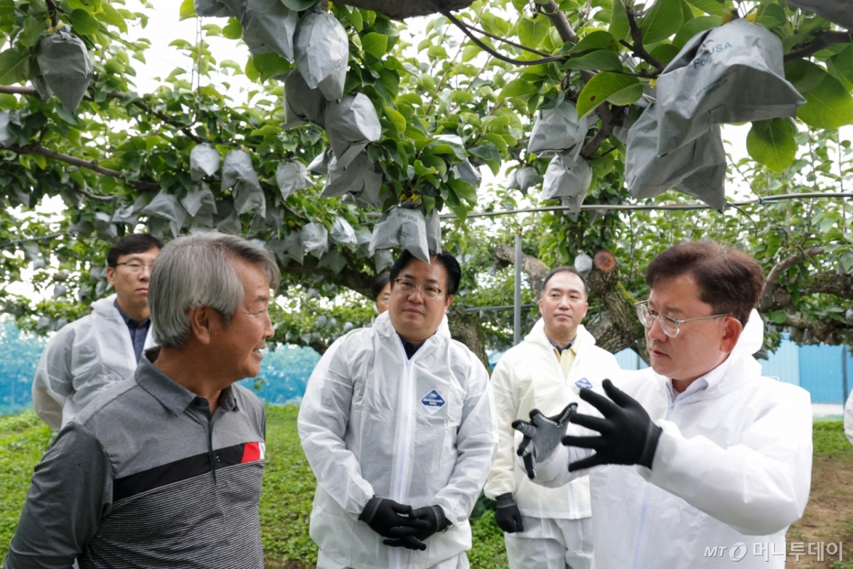[서울=뉴시스] 김진아 기자 = 이승돈 농촌진흥청장은 23일 경기 안성시 배 재배 농가를 방문해 생육 상황을 점검하고 있다. (사진=농촌진흥청 제공) 2025.09.23. photo@newsis.com *재판매 및 DB 금지 /사진=김진아