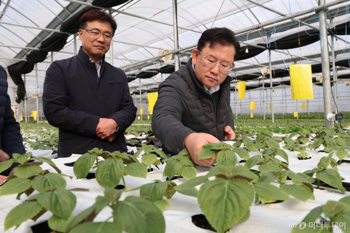 이승돈 농촌진흥청장은 지난 달 21일 제주시 구좌읍 아라온실 플랫폼 실증 농장을 찾아 현황을 점검하고 했다. /사진=농촌진흥청