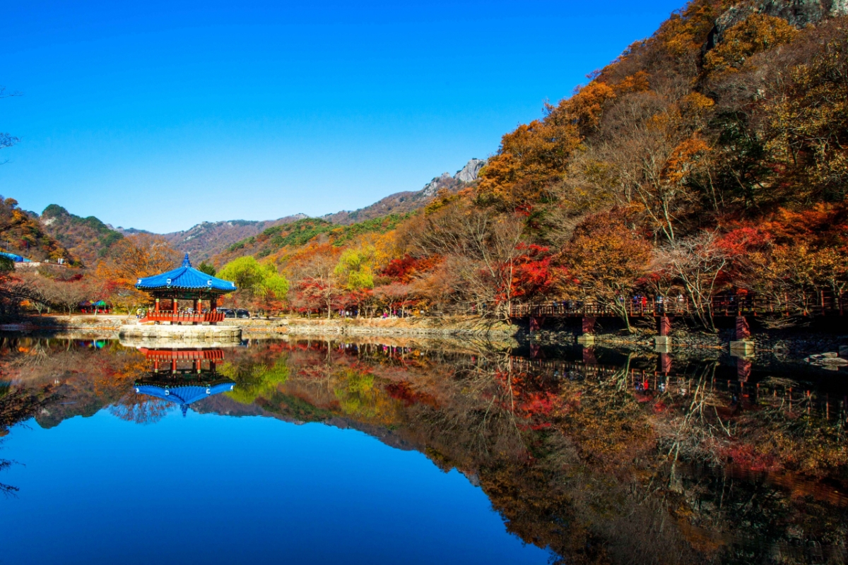 누리살핌단이 선정한 '우수 여행지'로 뽑힌 내장산국립공원(전북 정읍). / 사진 = 한국관광공사 제공