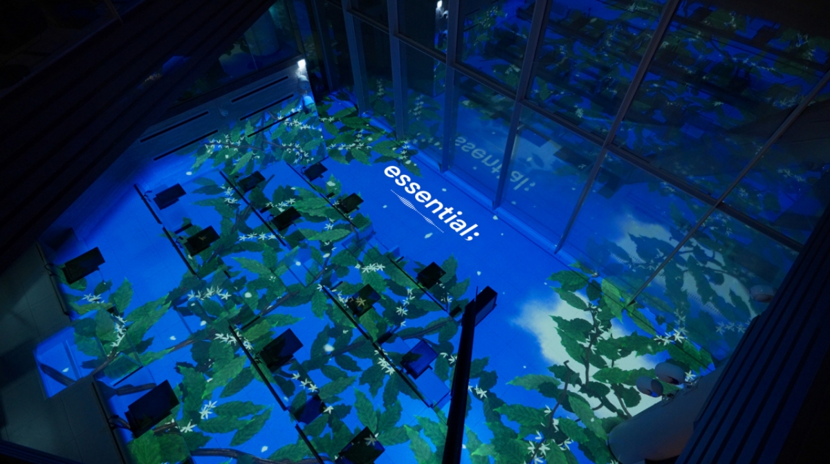 스타벅스 더춘천의암호R점에 ‘essential;(에센셜)’을 활용한 미디어 아트가 제공되고 있다. 이미지는 커피 열매다./사진=NHN벅스 제공