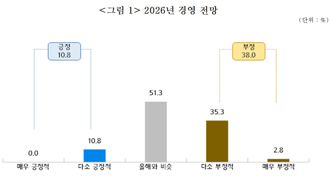 소상공인 800개사를 대상으로 실시한 '소상공인 경영실태 및 정책과제 조사' 중 내년 경영 전망에 대한 설문조사 결과 /자료=중기중앙회