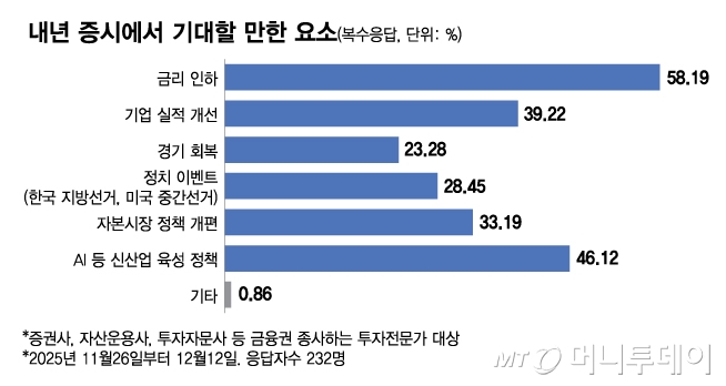 내년 증시에서 기대할 만한 요소/그래픽=김다나