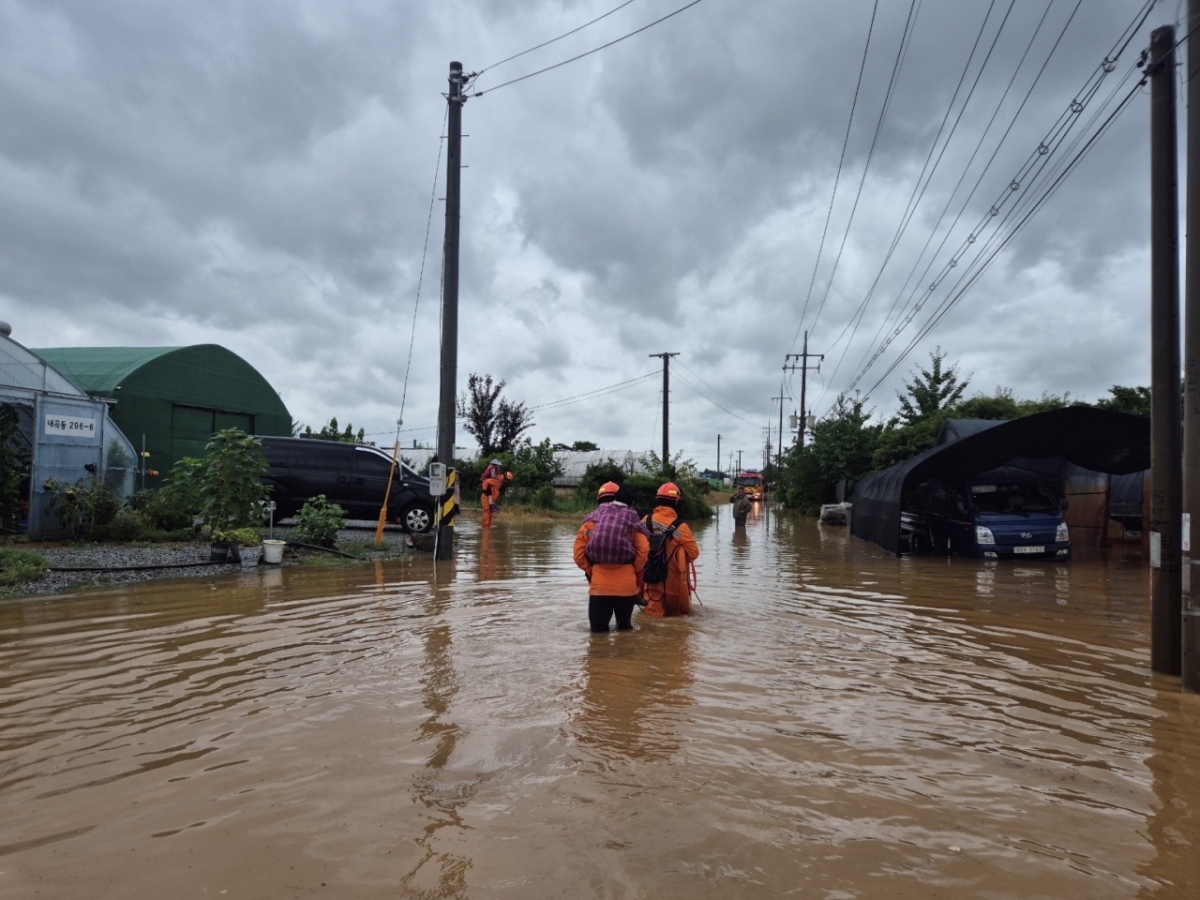 8월13일 경기 고양시 덕양구 내곡동 비닐하우스 단지 침수사고로 비닐하우스 일대./사진=뉴스1.