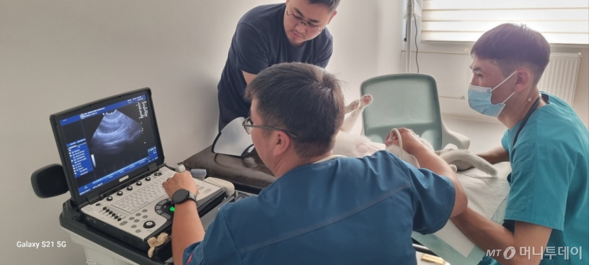 2019년부터 5년간 농업ODA 사업으로 건립된 몽골 울란바토르 수의진료센터에서 수의사들이 임상결과를 놓고 의견을 나누고 있다. /사진=농식품부