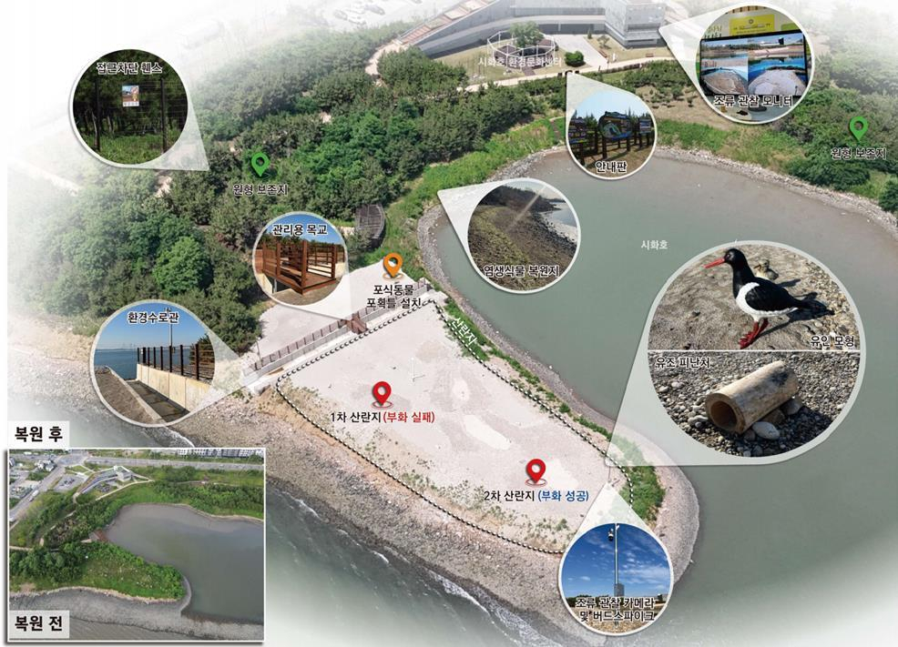 철새도래지 서식처 조성사업./사진제공=시흥시