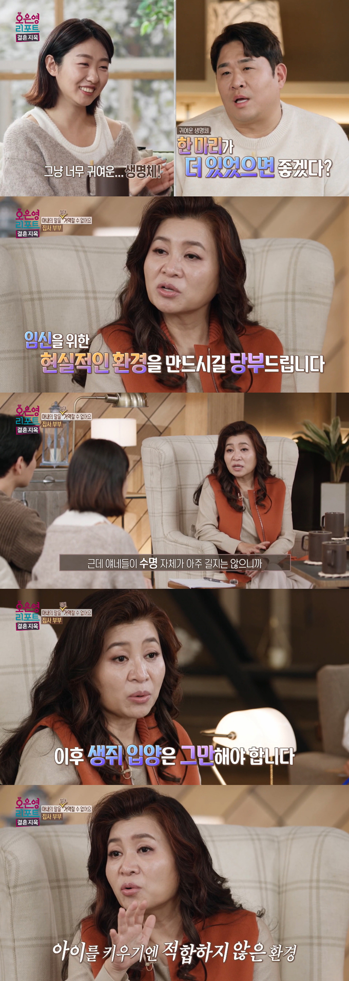 생쥐 8마리 등 반려동물만 11마리를 키우며 또 다른 반려동물 입양을 고민 중인 아내에게 정신건강의학과 전문의 오은영 박사가 조언을 건넸다./사진=MBC '오은영 리포트-결혼 지옥' 방송 화면