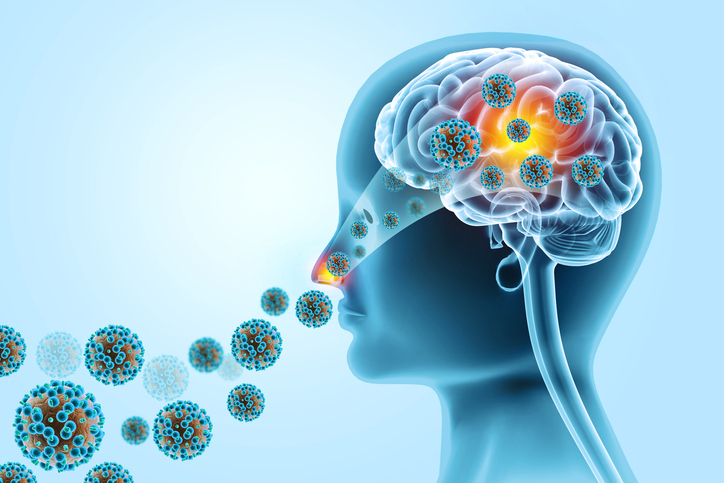 2022년 12월 26일 '뇌 먹는 아메바' 감염 사례가 국내에서 처음 확인됐다./사진=게티이미지뱅크