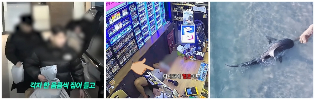 10대 청소년 3명이 지난 3일 경기 양주 한 아파트 지하주차장에서 차량 털이 범행 중인 모습. 지난 10월 대전 서구에서 택시를 빼앗아 무면허 음주운전을 한 10대 남성이 인근 편의점 계산대 밑에 숨은 모습. 호주 퍼스 바다에서 헤엄치던 상어와 강아지가 코앞에서 마주치고 서로 놀라 돌아서는 모습./사진=경찰청 유튜브 채널 '대한민국 경찰청', 대전경찰청 유튜브 채널 '대전경찰청', 인스타그램 갈무리 