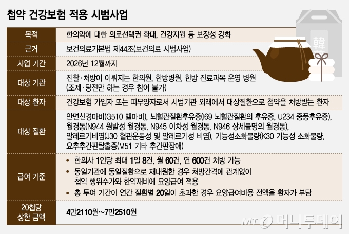 첩약 건강보험 적용 시범사업/그래픽=조수아