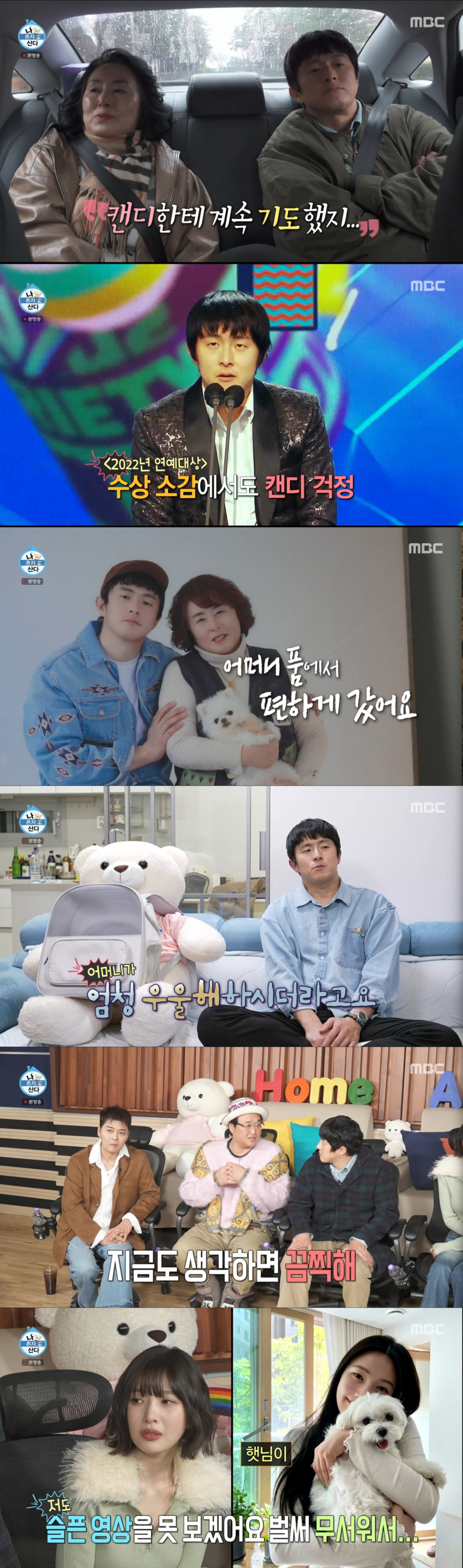 반려견을 떠나보낸 기안84. /사진=MBC '나 혼자 산다' 캡처