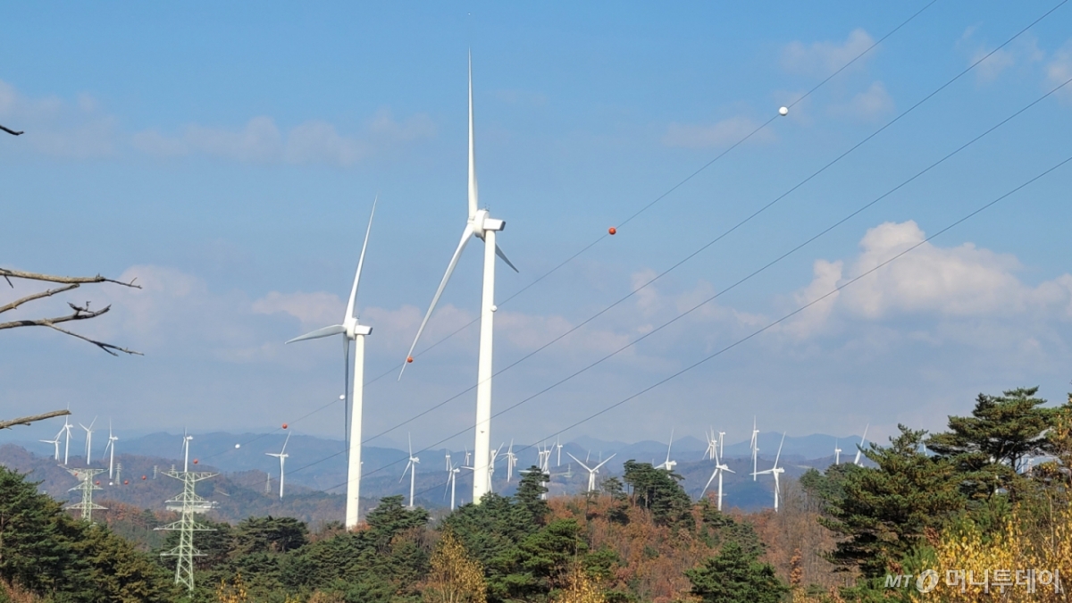 경상북도 영양군 일대 풍력단지 전경/사진=권다희 기자