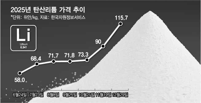 2025년 탄산리튬 가격 추이/그래픽=김다나