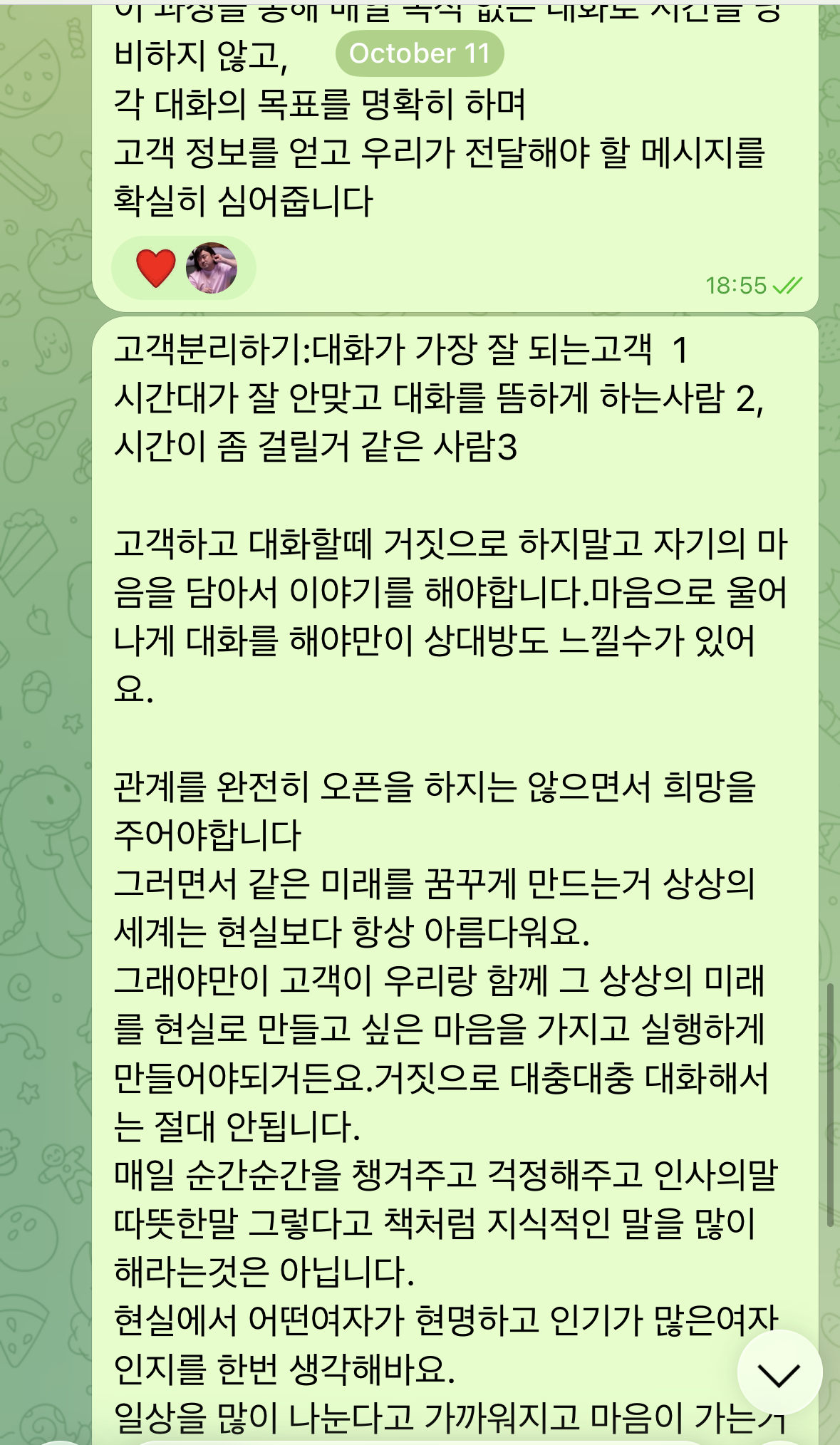 범죄단체는 채터들이 재력과 미모를 갖춘 젊은 여성으로 위장할 수 있게끔 사칭 여성의 신상정보, 사진, 대본을 준비한 것으로 조사됐다. /사진제공=보이스피싱 범죄 정부합동수사단.