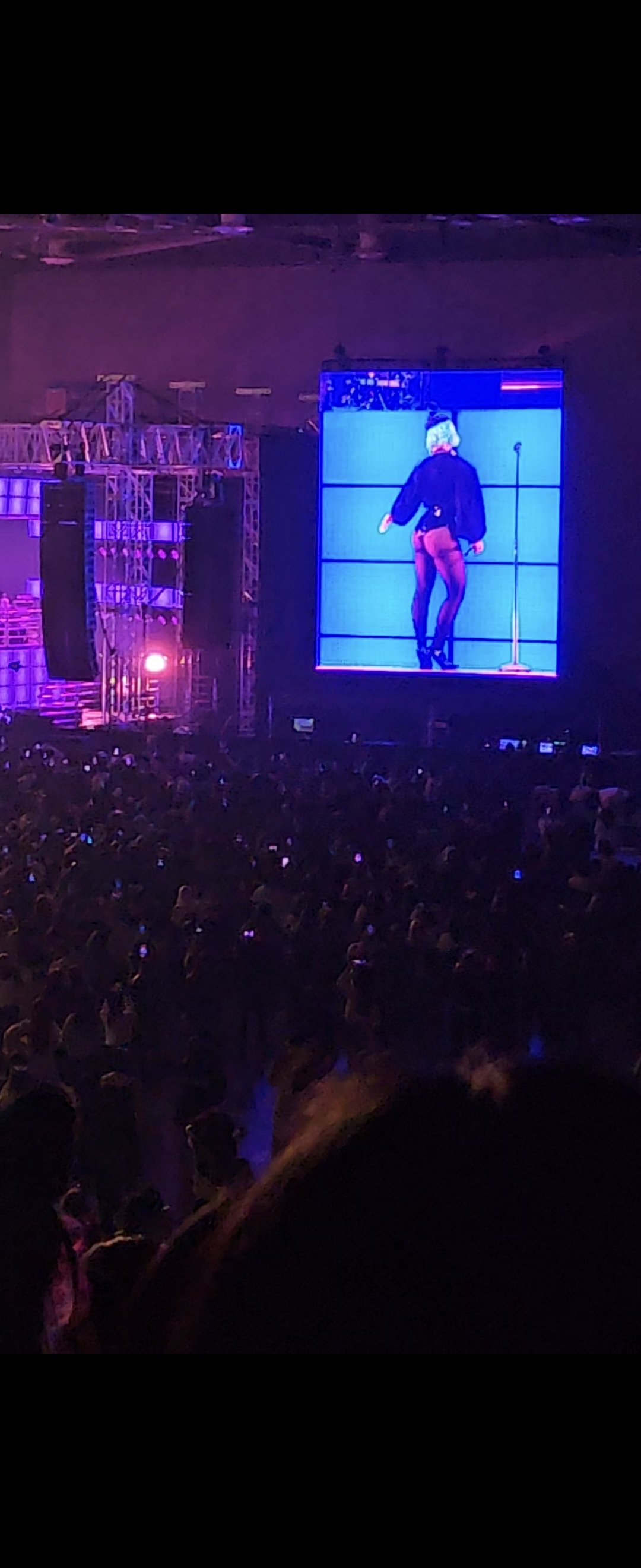 도자캣. /사진=김고금평 기자