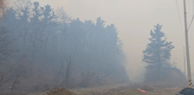 10일 오후 3시 14분쯤 경북 의성군 의성읍 비봉리의 한 야산에서 불이 나 당국이 진화하고 있다.(독자 제공.재판매 및 DB 금지)2026.1.10/뉴스1