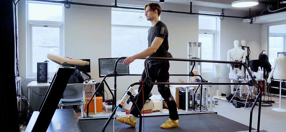 /사진=리보디스