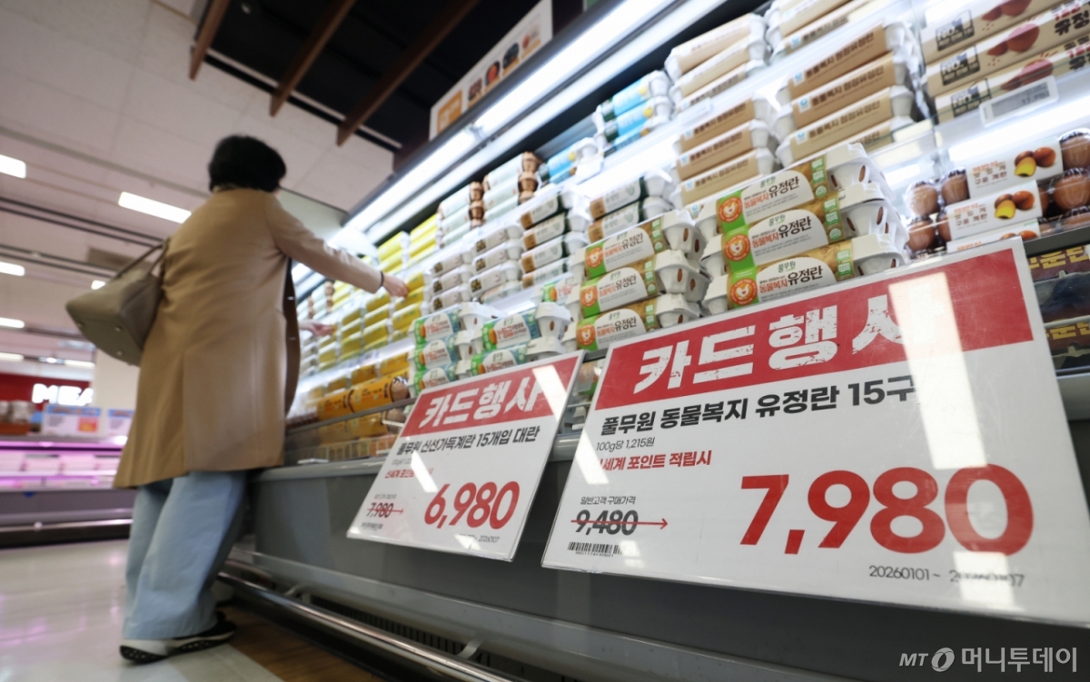 (서울=뉴스1) 오대일 기자 = 고병원성 조류 인플루엔자(AI) 확산으로 계란 수급 불안 우려가 커지는 가운데 6일 서울 시내의 한 대형마트에 계란이 진열돼 있다. 축산 유통 정보 ‘다봄’에 따르면 이달 4일 기준 전국 평균 계란 한 판(특란 30구) 가격은 7045원으로 지난해(6206원)보다 13.5% 높아졌다.  2026.1.6/뉴스1  Copyright © 뉴스1. All rights reserved. 무단 전재 및 재배포,  AI학습 이용 금지. /사진=(서울=뉴스1) 오대일 기자