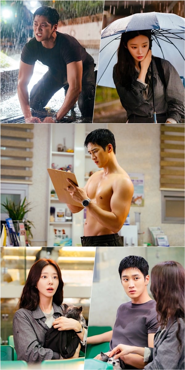 tvN 월화드라마 '스프링 피버'./사진제공=tvN