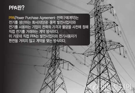 PPA란/그래픽=이지혜