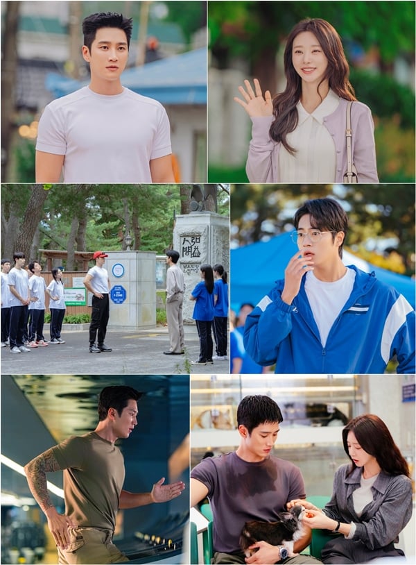 tvN 월화드라마 '스프링 피버'./사진=tvN