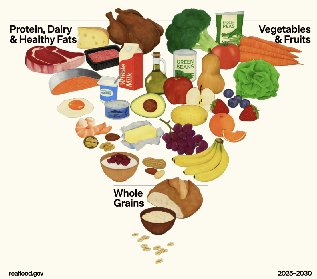미국 보건부가 제시한 식단 가이드라인/사진=미 보건부
