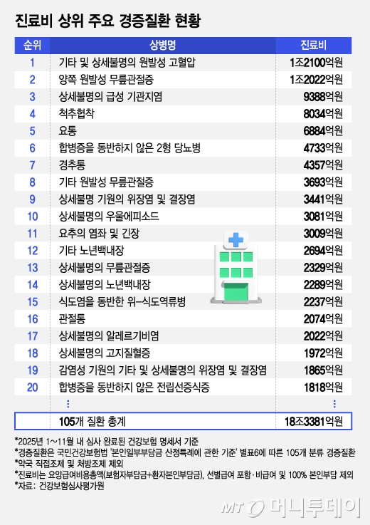 진료비 상위 주요 경증질환 현황/그래픽=김지영