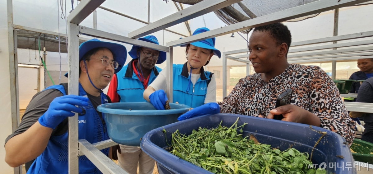 방혜선(오른쪽 2번째) 국립농업과학원 농업생물부장이 지난 해 9월 짐바브웨KOPIA센터에서 운영중인 BSF사육시설을 찾아 짐바브웨 과학산업연구개발청(SIRDC) 연구책임자로부터 동애등에 사육연구에 대해 이야기를 나누고 있다. /사진=정혁수