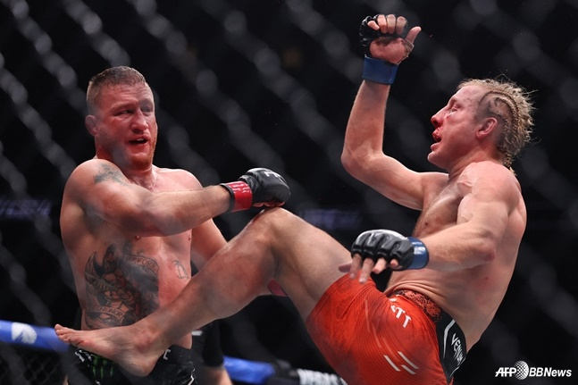 게이치(왼쪽)와 핌블렛 경기 중. /AFPBBNews=뉴스1