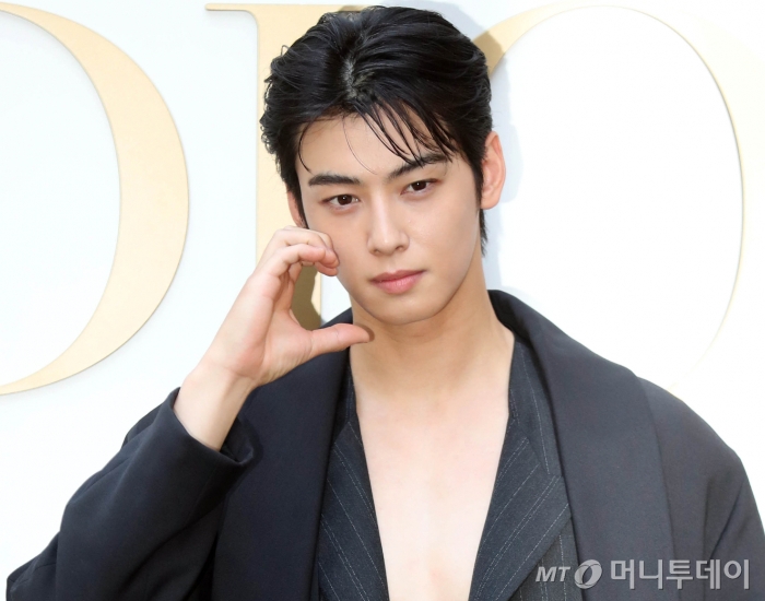 배우 차은우. 2024.05.29 /사진=임성균