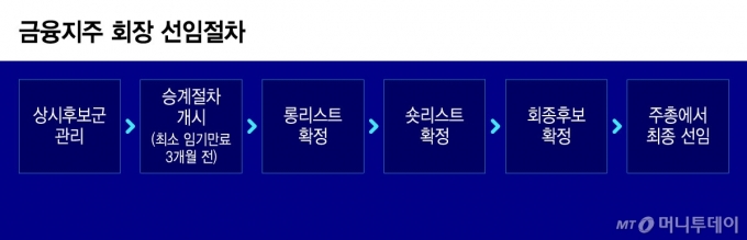 금융지주 회장 선임절차/그래픽=윤선정