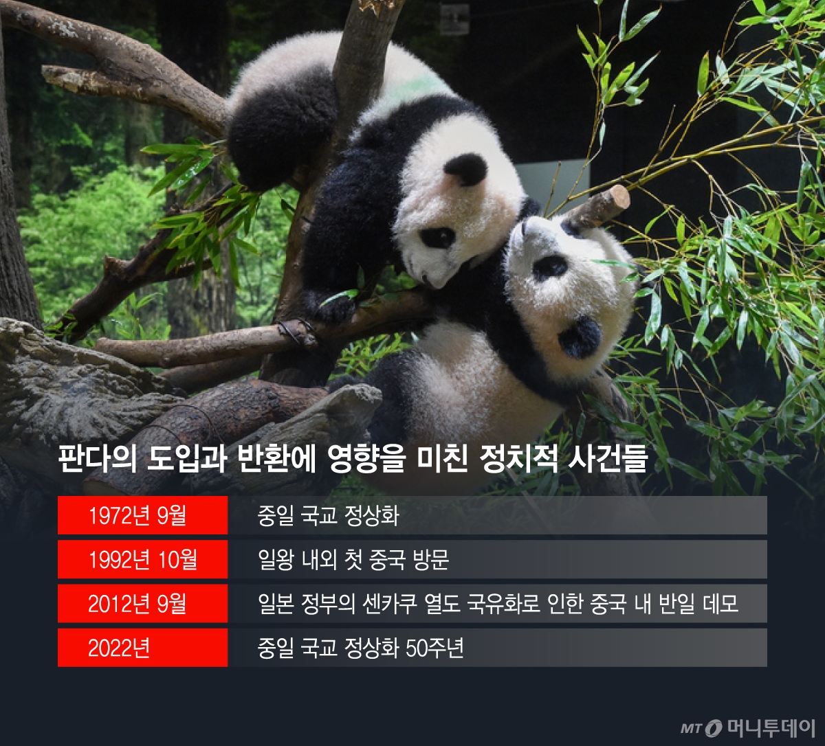 판다의 도입과 반환에 영향을 미친 정치적 사건들/그래픽=이지혜
