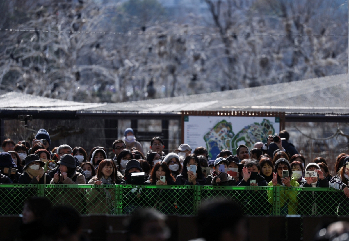 일본인들이 도쿄 우에노동물원의 판다 샤오샤오와 레이레이를 배웅하기 위해 모였다. 2026.1.27 ⓒ 로이터=뉴스1 Copyright © 뉴스1. All rights reserved. 무단 전재 및 재배포, AI학습 이용 금지. /사진=(로이터=뉴스1)