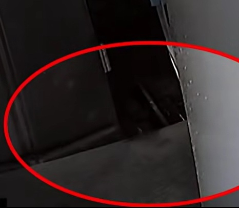 A씨 차량이 파손되는 모습/사진=JTBC 사건반장