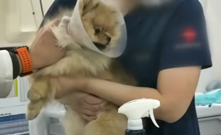 /사진=JTBC '사건반장'