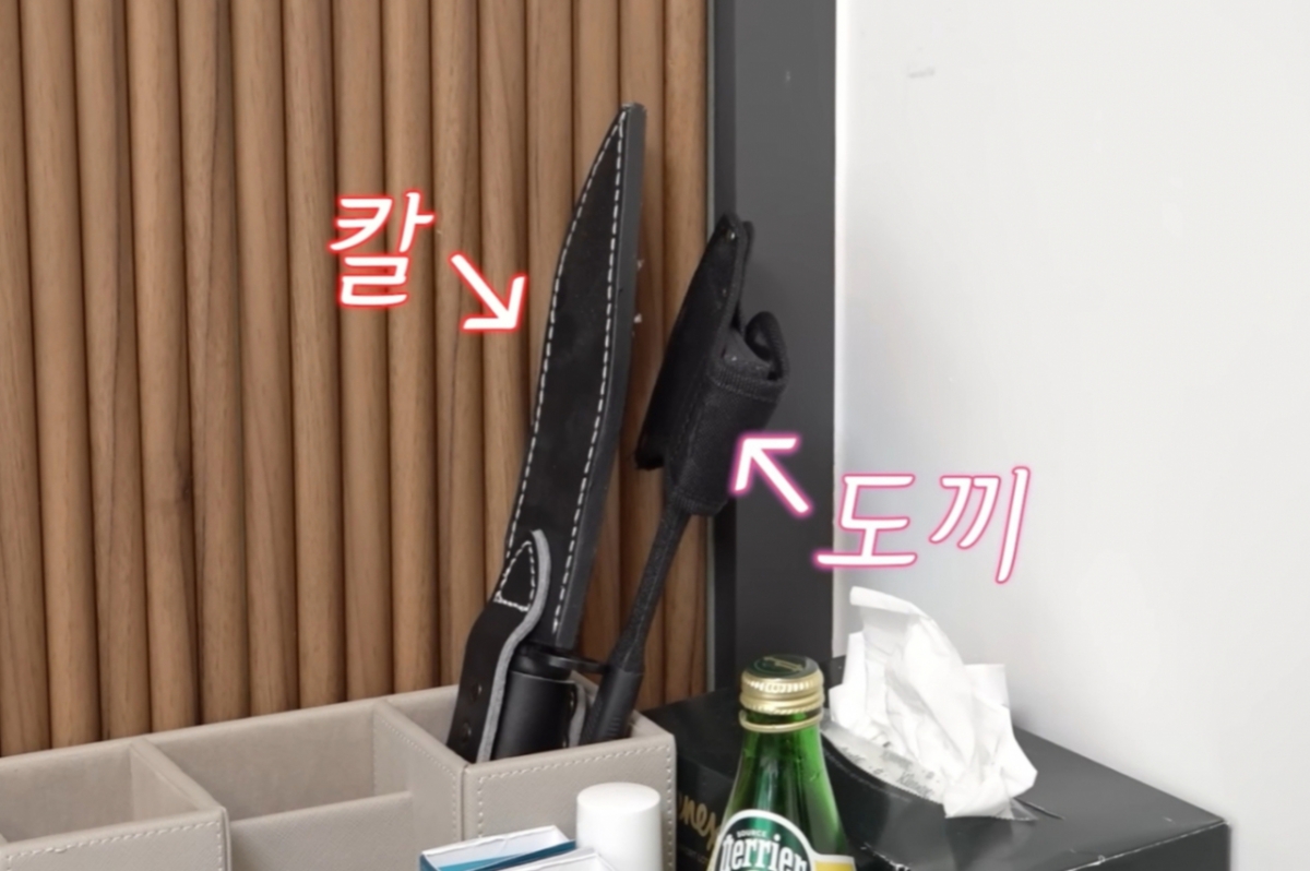 홍혜걸이 아내와 반려견을 지키기 위해 집안 곳곳 흉기를 숨겨뒀다고 고백했다. /사진=장영란 유튜브 갈무리 