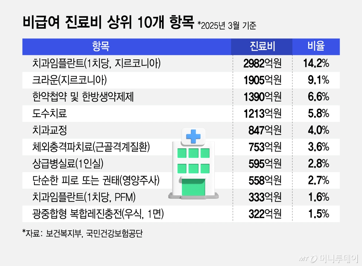 비급여 진료비 상위 10개 항목/그래픽=김지영