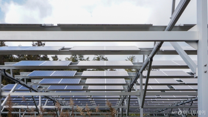 일본 야마구치현 시모노세키시의 한 목초 재배 시설에 영농형 태양광 패널이 설치돼 있다./사진=최지은 기자