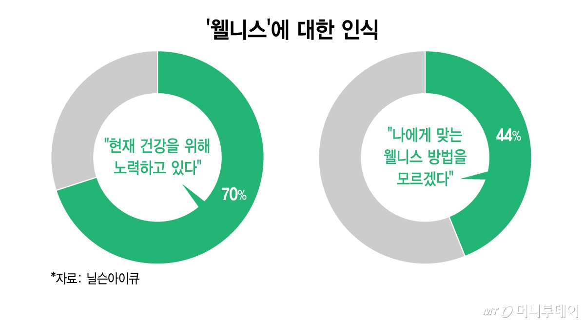 '웰니스'에 대한 인식/그래픽=김지영