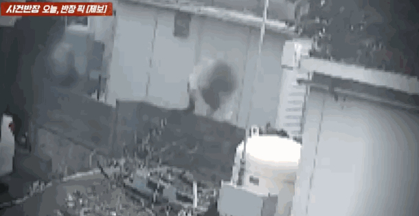 제주 식당을 오가며 먹튀 행각을 벌이는 청소년 무리들 모습. /사진=JTBC 사건반장 갈무리