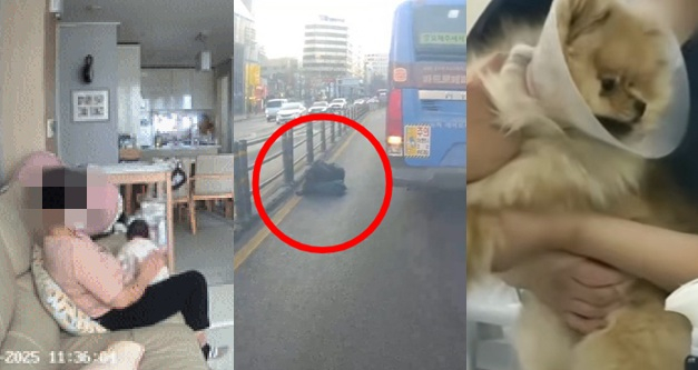 /사진=온라인 커뮤니티 '보배드림'·JTBC '사건반장' 갈무리 