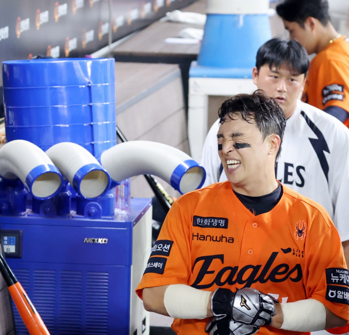 손아섭. /사진=강영조 선임기자